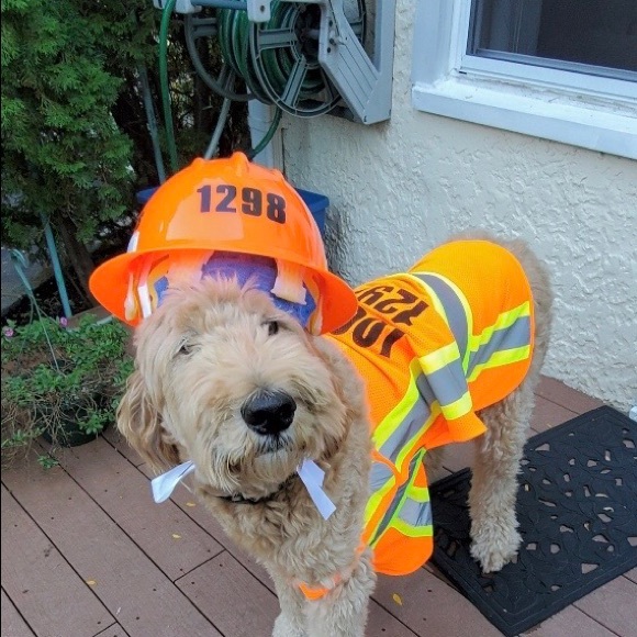 Hello👋Have confidence, I’m a Poshmark Ambassador. - Picture 17 of 17